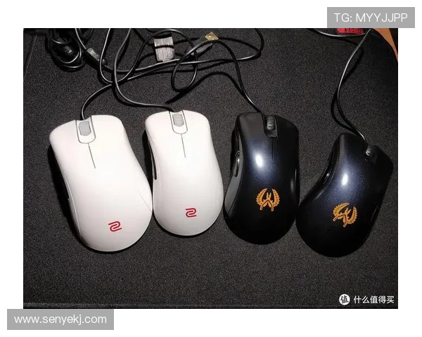 从零起步到高手之路:全面提升CSGO个人能力的实用指南 从零起步到高手之路:全面提升CSGO个人能力的实用指南