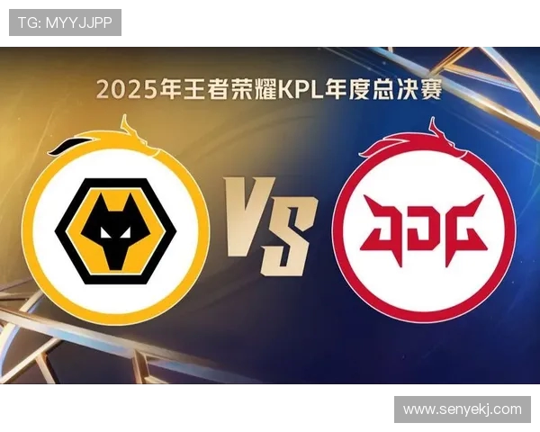 全球总决赛特别报道：JDG战队的荣耀与挑战之路回顾