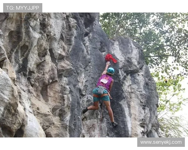 南京攀岩队的整体压制揭秘：深度分析攀岩运动的挑战与成就