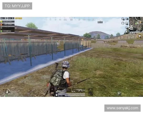 对话杨磊：探索和平精英背后的成长与挑战之路