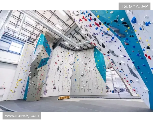 成都攀岩队状态解析:聚焦攀岩运动的挑战与机遇