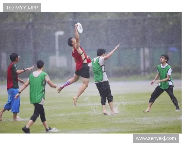 成都飞盘队的耐力变革引发热议助力运动新风潮