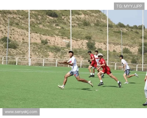 杭州飞盘队与武汉飞盘队赛后复盘分析团队配合与战术执行的关键因素 杭州飞盘队与武汉飞盘队赛后复盘分析团队配合与战术执行的关键因素