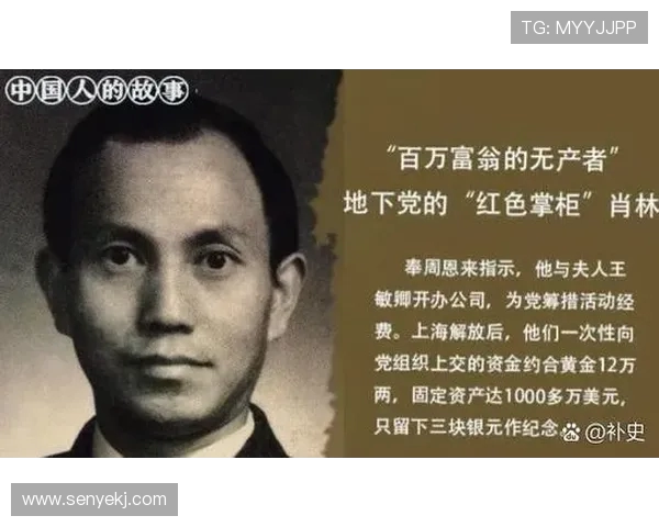 努涅斯的崛起与挑战：在足球世界中书写属于自己的传奇篇章