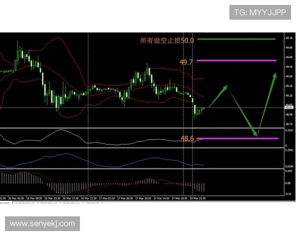 季前赛广东对阵浙江精彩视频直播全程回顾与分析