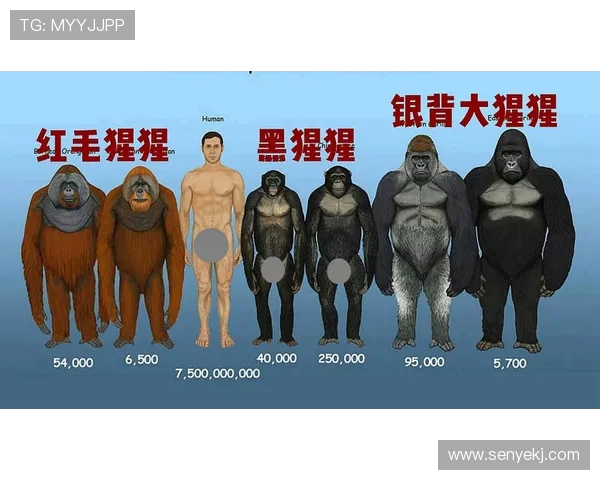 银背大猩猩与火焰的对决:自然力量的碰撞与生存的考验