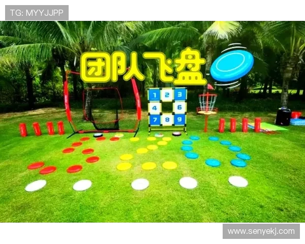 飞盘战术解析：北京飞盘队如何利用边路渗透提升进攻效率