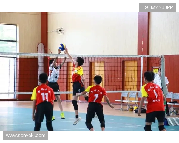 周磊专访：从排球小将到国家队核心的成长之路与心路历程