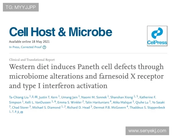 成都乒乓球队个人能力分析与表现评估的全面研究报告